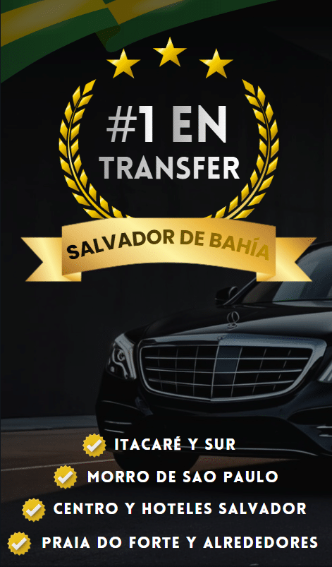 Transfer 19 Corregido